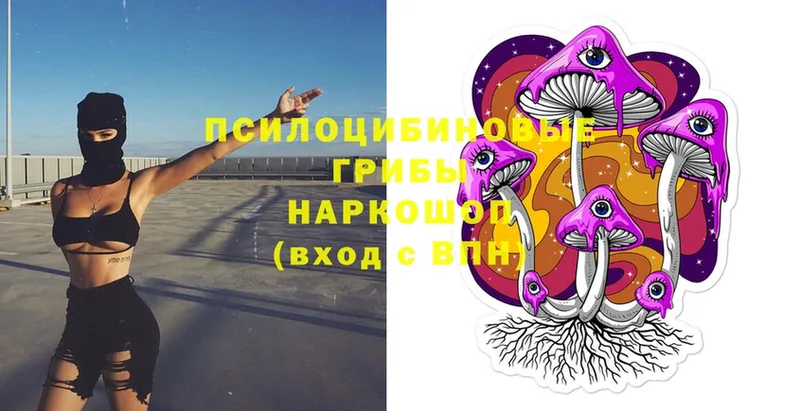 Псилоцибиновые грибы Psilocybe  цены наркотик  Чебоксары 